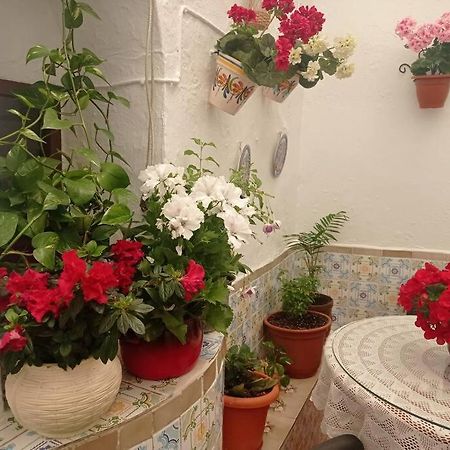 Casa Tipica De Pueblo Andaluz Villa Villanueva de San Juan Kültér fotó