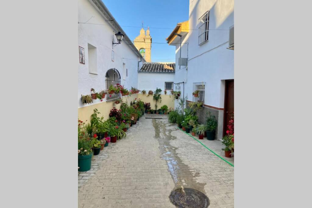 Casa Tipica De Pueblo Andaluz Villa Villanueva de San Juan Kültér fotó