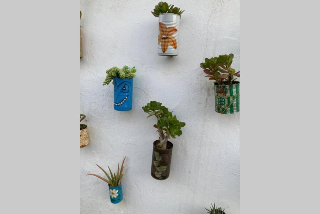 Casa Tipica De Pueblo Andaluz Villa Villanueva de San Juan Kültér fotó